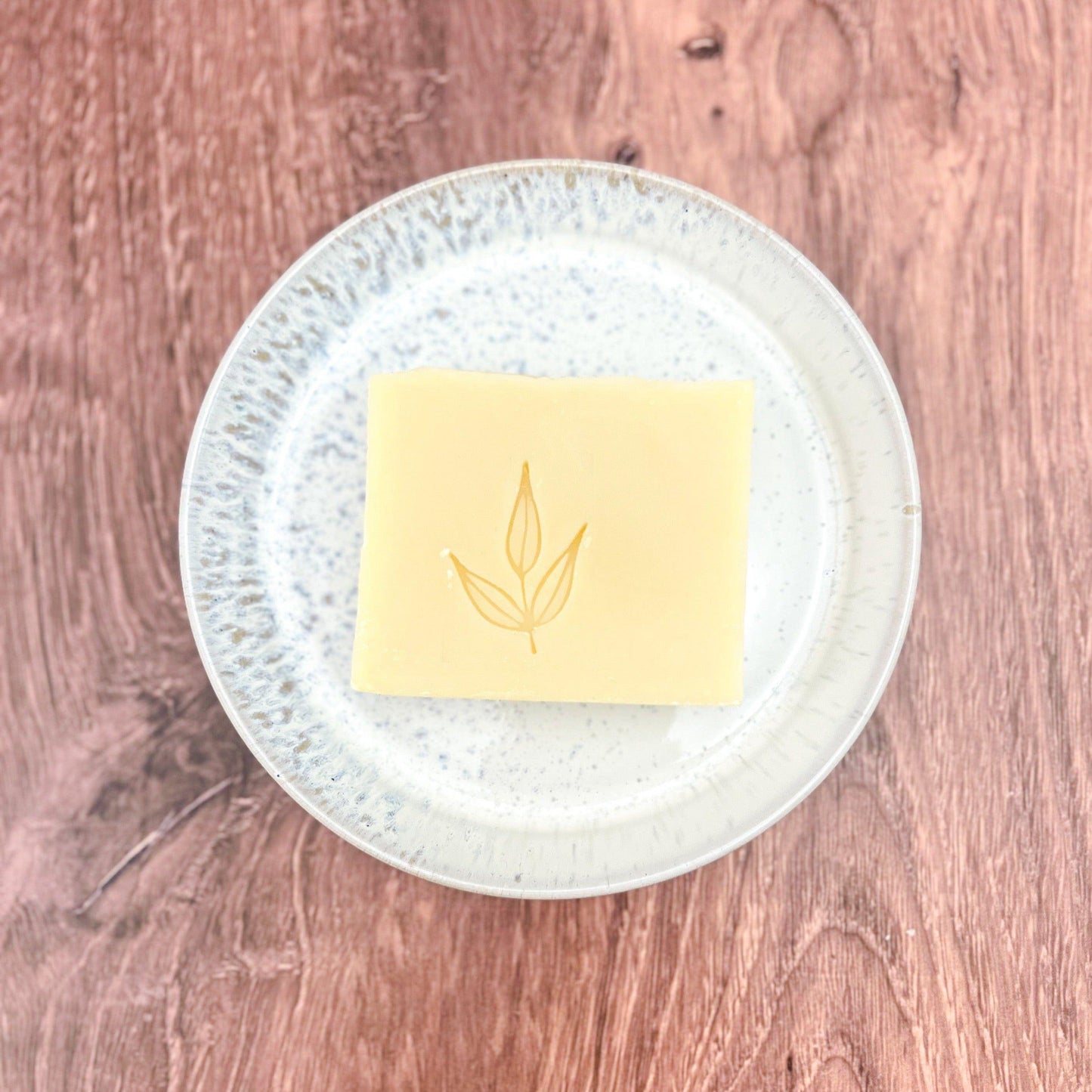 Plastic Free Bundle