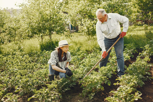 Why Are People Changing to an Eco-Friendly Lifestyle?